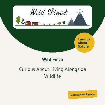 Curious About Living Alongside Wildlife