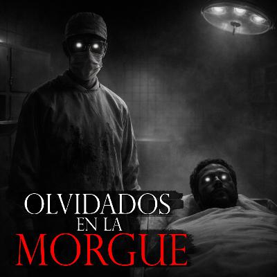OLVIDADOS EN LA MORGUE - 5 Relatos De Terror en la MORGUE