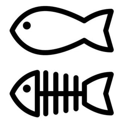Fish Bones💤