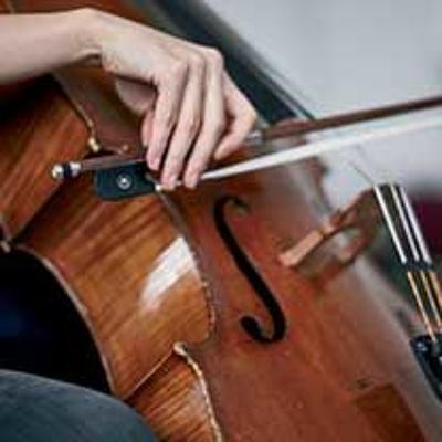 Spotlight on… Composition