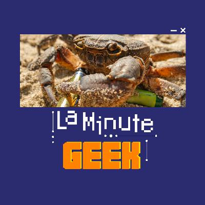 La Minute Geek #031 : Des batteries à base de crabe
