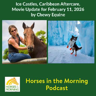 Ice Castles, Caribbean Aftercare, Movie Update for February 11, 2026 by Chewy Equine Ice Castles, Caribbean Aftercare, Movie Update for February 11, 2026 by Chewy Equine