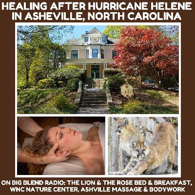 Healing After Hurricane Helene in Asheville and Beyond - Part 2