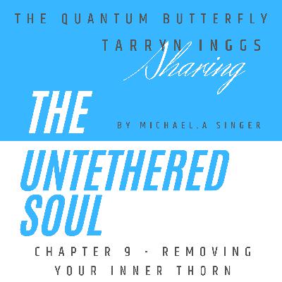The Untethered Soul - chapter nine - removing your inner thorn