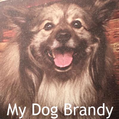 A Keeshond's Wish For The Jewish New Year: A dog saves a boy