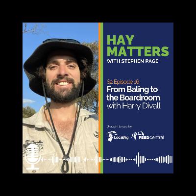 From Baling to the Board Room with Harry Divall