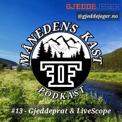 #13 - Gjeddeprat & Livescope