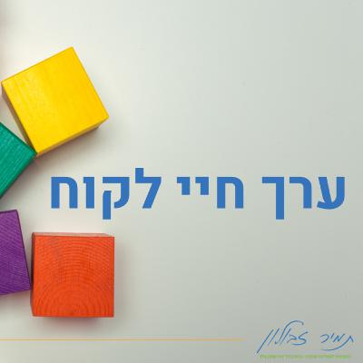 מה זה ערך חיי לקוח ואיך מעלים אותו מה זה ערך חיי לקוח ואיך מעלים אותו