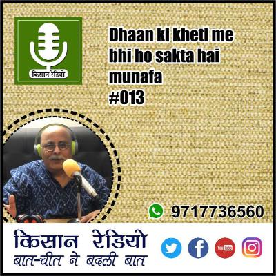 Dhaan ki kheti me bhi ho sakta hai munafa