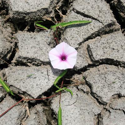 Spüren Sie Verantwortung fürs Weltklima?