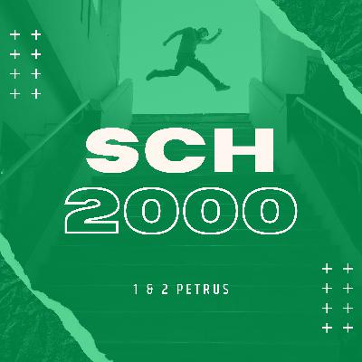 NT - 1. & 2. Petrus Brief