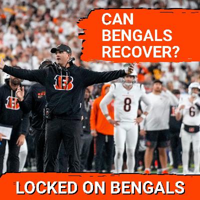 Can Cincinnati Bengals Recover Against Chicago Bears? | High Stakes to Finish Home Stand Can Cincinnati Bengals Recover Against Chicago Bears? | High Stakes to Finish Home Stand