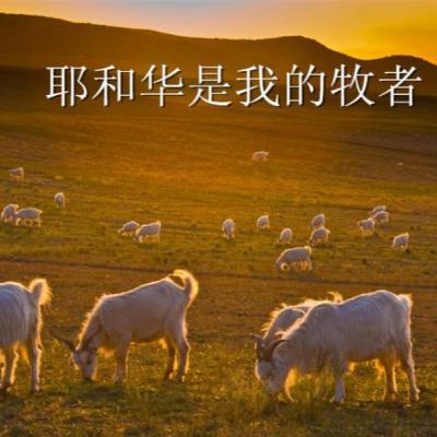 更丰盛的人生 -- 诗篇23篇 （许万常牧师）