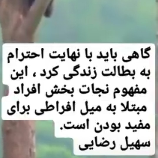 کانال Hadi Hosseini
