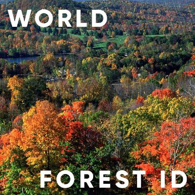 S2E4: The World Forest ID with Phil Guillery, Jade Saunders and Victor Deklerk from Kew Gardens