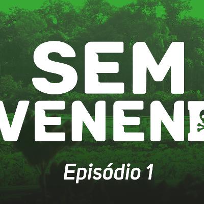 Sem Veneno | Episódio 1