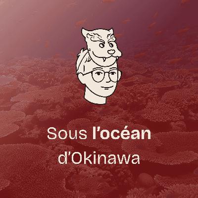#22 Fascinante biodiversité d’Okinawa (4/4) Sous l’océan
