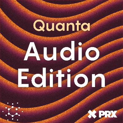 Audio Edition: Heat Destroys All Order. Except for in This One Special Case.
