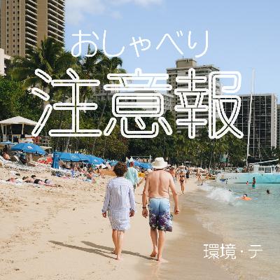 #19 まだハワイ着いてないんですけど