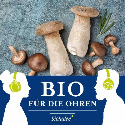 Best-of: Edelpilze aus dem Pilzgarten
