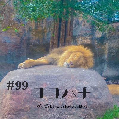 #99_グッズ化しない動物の魅力