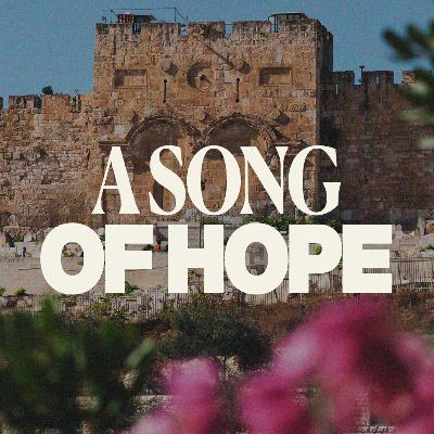 "A Song of Hope" | Matthew 21:1-11