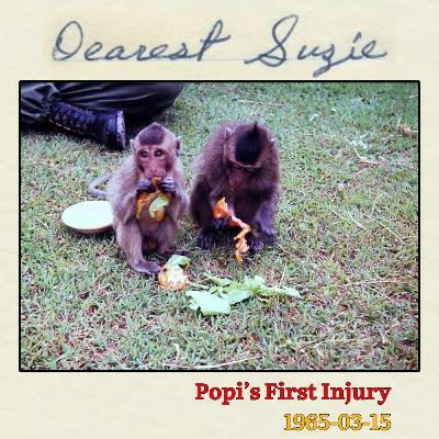 Episode 062: 1965-03-15 | Popi’s First Injury