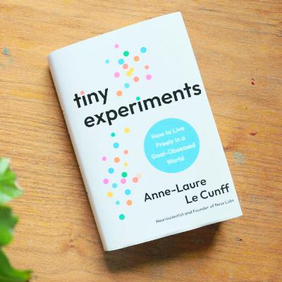 I read a chapter of Tiny Experiments by Anne-Laure le Cunff for you (business book) I read a chapter of Tiny Experiments by Anne-Laure le Cunff for you (business book)