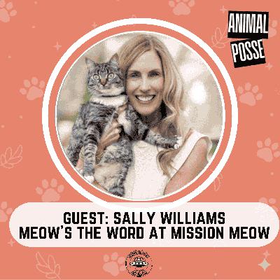 Meow's the Word with Mission Meow