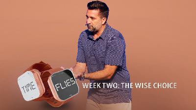 Time Flies Week Two