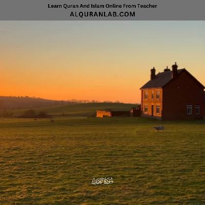 Surah An-Nahl Beautiful and Heart-Touching Recitation of the Quran with Tajweed