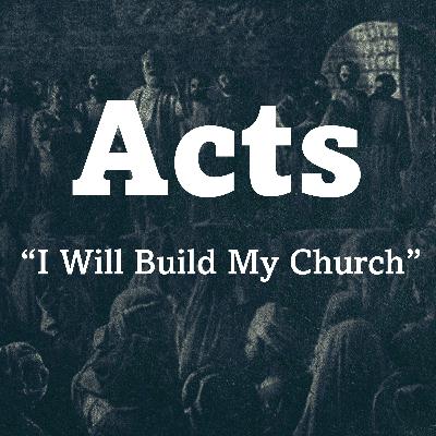 48- The Will of God: Nothing Less, Nothing More, Nothing Else (Acts 21:1-16)