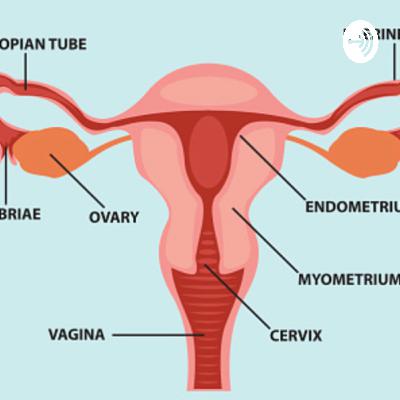 אנדומטריוזיס