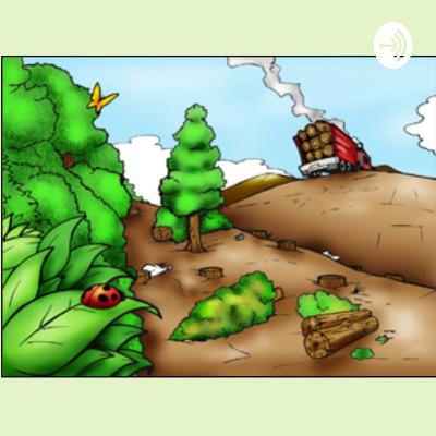 Derecho forestal