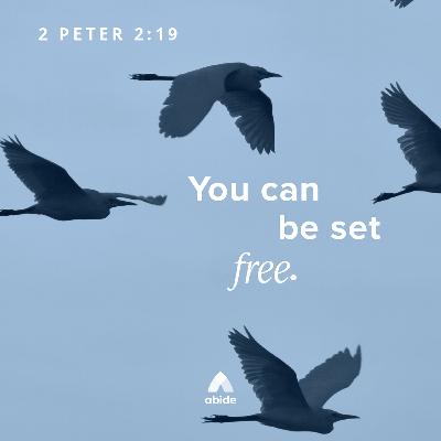 Freedom From Addiction