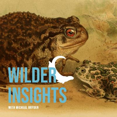 Making Change and Western Toad Conservation with Ashley Sutherland | Ep 02