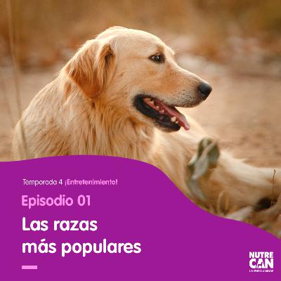¿Quién es el mejor amigo más popular? ¿Quién es el mejor amigo más popular?