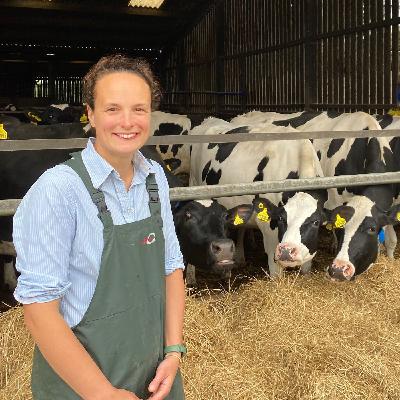 449: Heifer to bull: Maximising calf potential (part two)