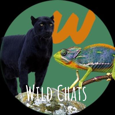 Ep. 45. Scary & Adorable Animal Encounters Ep. 45. Scary & Adorable Animal Encounters