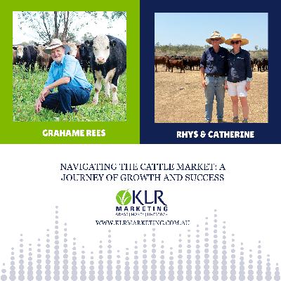 Navigating the Cattle Market with KLR Marketing : A Journey of Growth and Success Navigating the Cattle Market with KLR Marketing : A Journey of Growth and Success