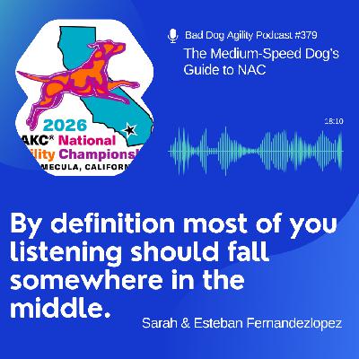 379: The Medium-Speed Dog's Guide to NAC 379: The Medium-Speed Dog's Guide to NAC