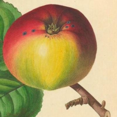 Eps. 4 : Yang Hilang