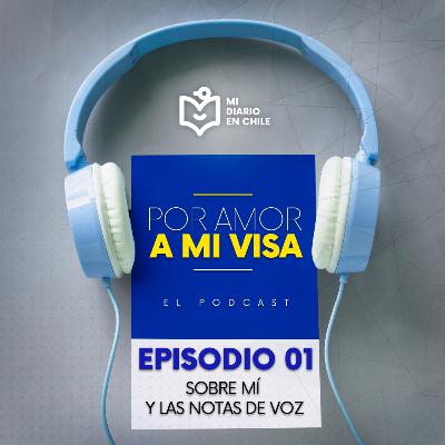 Sobre mí y las notas de voz