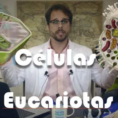 Células Eucariotas, TIPOS Células Eucariotas, TIPOS