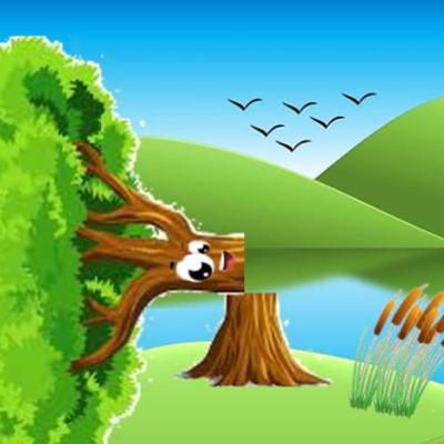 The Oak Tree 🌳 & The Reeds 🌾