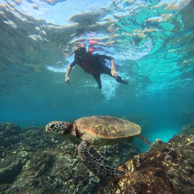 מוצ'ילה פרק 31 I האם יש קסם ב טיוואן?