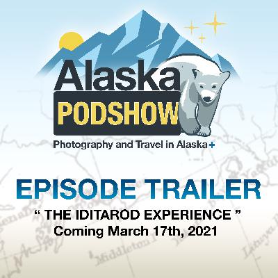 Episode Trailer: The Iditarod Experience