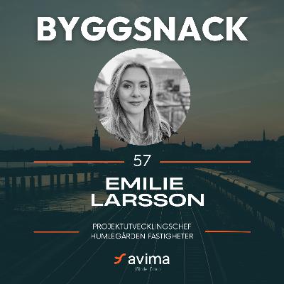 57. Framgångsrecept i modernt projektledarskap