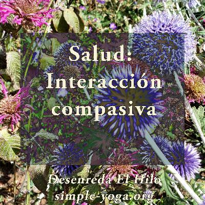 Tejiendo el Yoga Sutra: Salud, interacción compasiva (5ta parte) Tejiendo el Yoga Sutra: Salud, interacción compasiva (5ta parte)