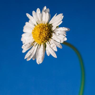 Un lungo percorso Un lungo percorso